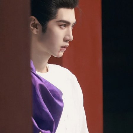 Jiang Shan Wei Pin ()