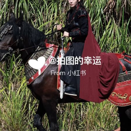 Key to the Phoenix Heart (2026)