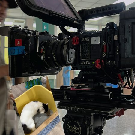 Revamp the Undead Story (2025)