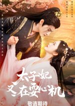 Not So Vicious Chinese Drama photo