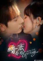 Secret Love Spring Chinese Drama(2025) photo
