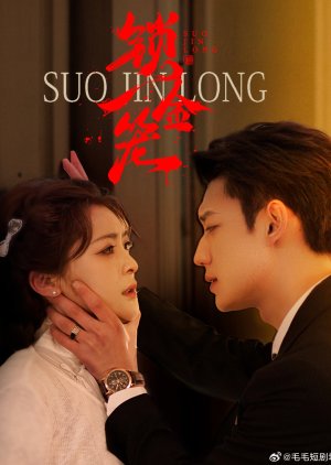 Suo Jin Long (2025) poster
