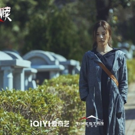 The Perfect Suspect (2025)