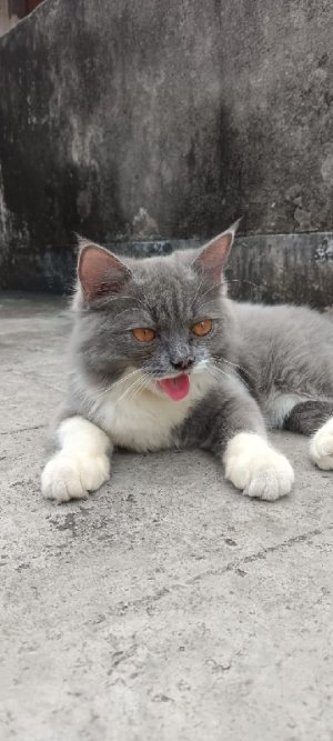 UmmySolanki