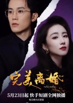Perfect Divorce Chinese Drama(2025) photo