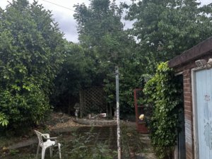 Eliz_1821