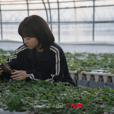 Our Unwritten Seoul (2025)
