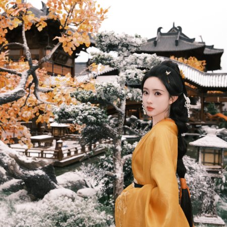 Meng Zi Yi
