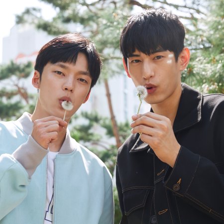 Kim Tae Hwan