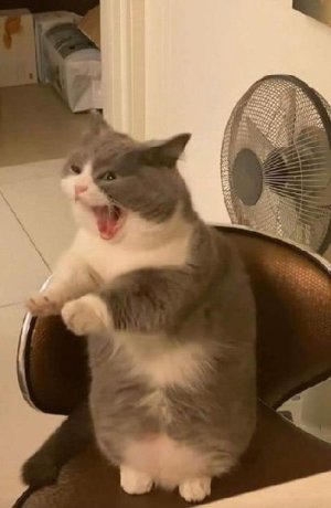 mer