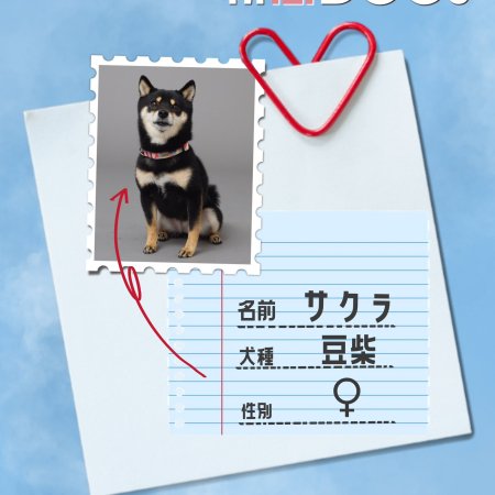 Hatsukoi DOGs (2025)