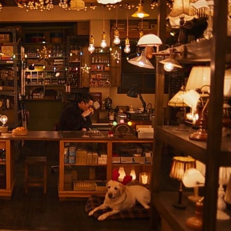 Light Shop (2024)