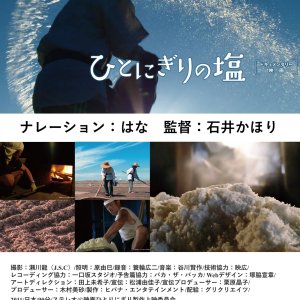 A Handful of Salt (2011)