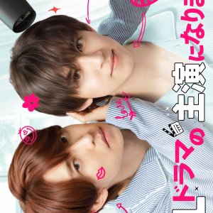I Became the Main Role of a BL Drama Season 2 (2025)