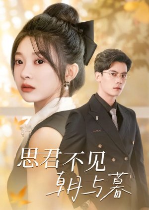 Si Jun Bu Jian Zhao Yu Mu (2024) poster