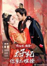 Du Xin Shu: Jiu Ming! Tai Zi Fei Ni Die Tai Nan Liao Chinese Drama photo