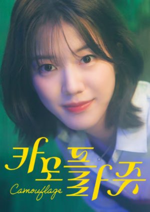 Camouflage (2024) poster