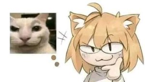 rayzchan