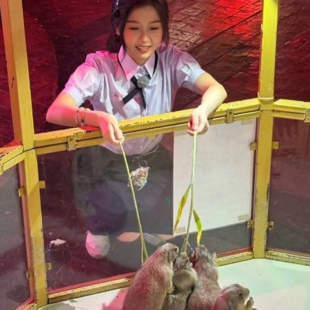 Speed and Love (2025)