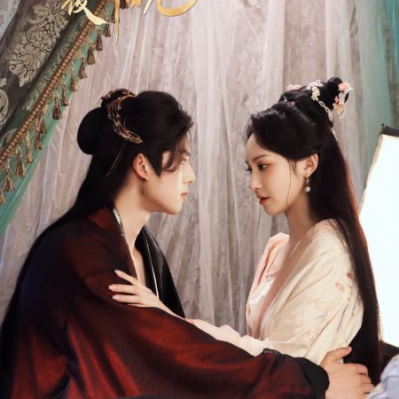 Dawn of Spring Nights (2025)