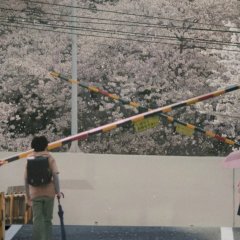 5 Centimeters per Second Japanese Movie photo