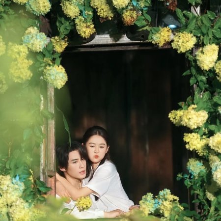 The Dark Side of the Sun (2025)