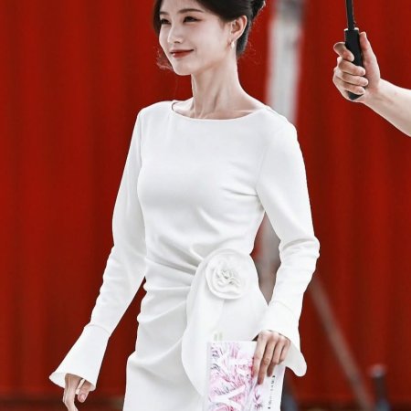 The Vanishing Beauty ()