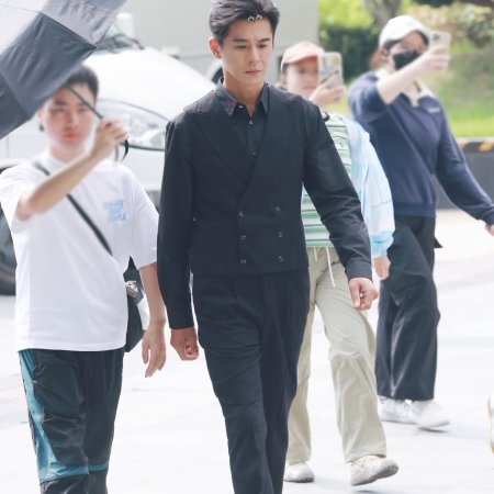 The Vanishing Beauty ()