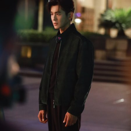 The Vanishing Beauty ()