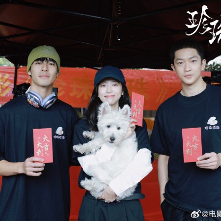 Zhen Zhu Zhen Zhu ()