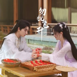 Flying up without Disturb (2025)