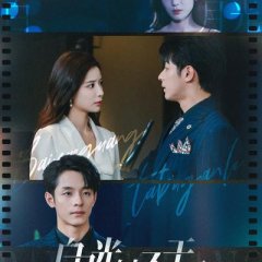 Surviving Guide for the White Moonlight Chinese Drama(2024) photo