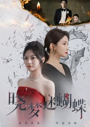 Dreams of Butterflies at Dawn poster