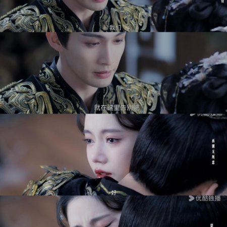 The Blossoming Love (2025)