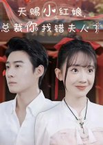 Tian Ci Xiao Hong Niang, Zong Cai Ni Zhao Cuo Fu Ren Le Chinese Drama photo