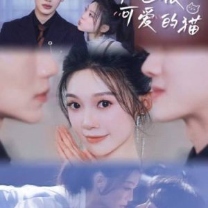 Jin Tian Ye Hen Ke Ai De Mao (2024)