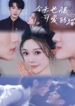 Jin Tian Ye Hen Ke Ai De Mao chinese drama review