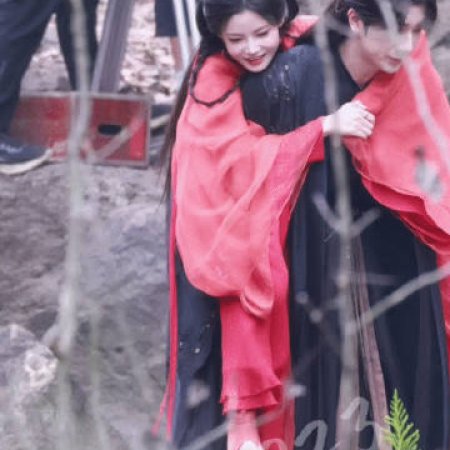 Blossom in Darkness ()