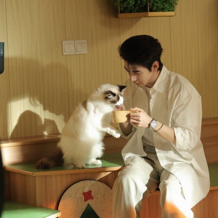 Love on the Turquoise Land (2025)