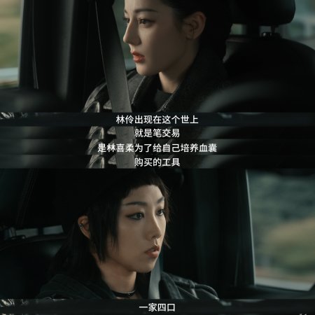 Love on the Turquoise Land (2025)