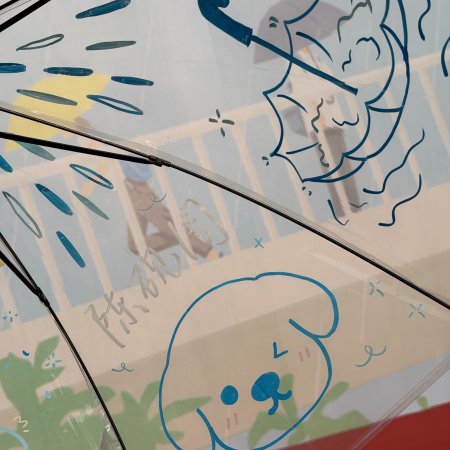 Sunshine through the Rain ()