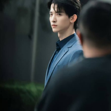 The Vanishing Beauty ()