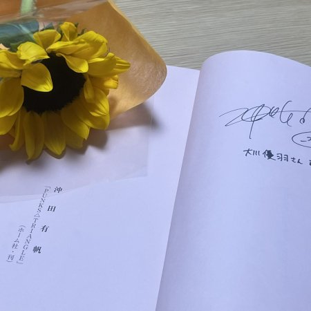 Punks Triangle (2025)