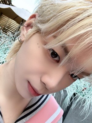 mile - n1 jungmo stan