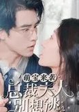 Meng Bao Lai Xi, Zong Cai Fu Ren Bie Xiang Tao Chinese Drama(2023) photo