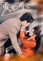 Ai Yi Diao Wang Chinese Drama(2025) photo