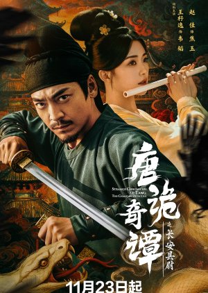 Strange Chronicles of Tang: The Chang’an Detective (2025) poster