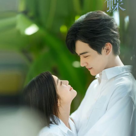 Sniper Butterfly (2025)