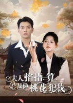 Fu Ren Qia Zhi Yi Suan, Zong Cai Ta Tao Hua Fan Wo Chinese Drama photo