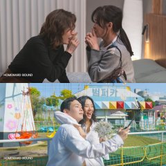 Homeward Bound Korean Movie(2025) photo